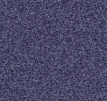 Ковровая плитка Tessera Basis 380 Blackcurrant фото 1 | FLOORDEALER